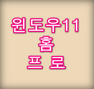 윈도우11-홈-프로