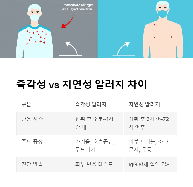 즉각성 vs 지연성 알러지 차이