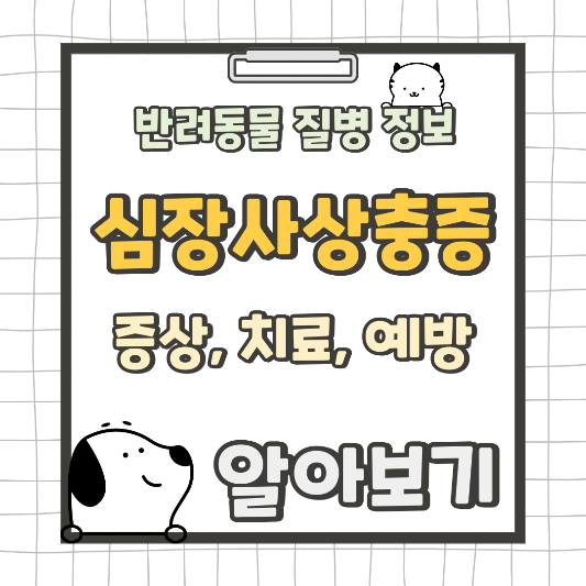 심장사상충 루원 센트럴 동물의료센터