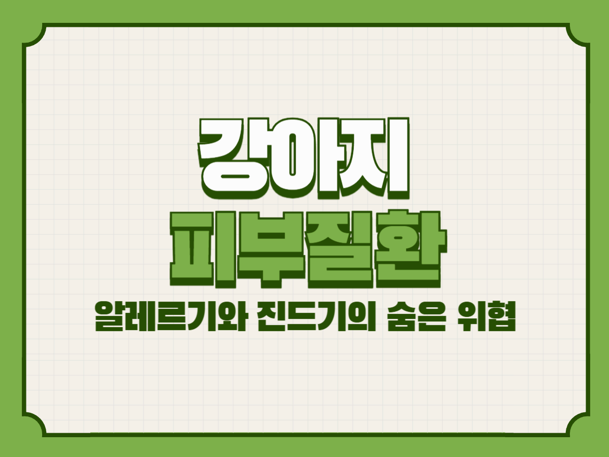 강아지 피부질환: 알레르기와 진드기의 숨은 위협