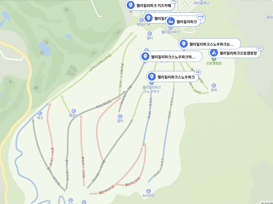 웰리힐리 슬로프