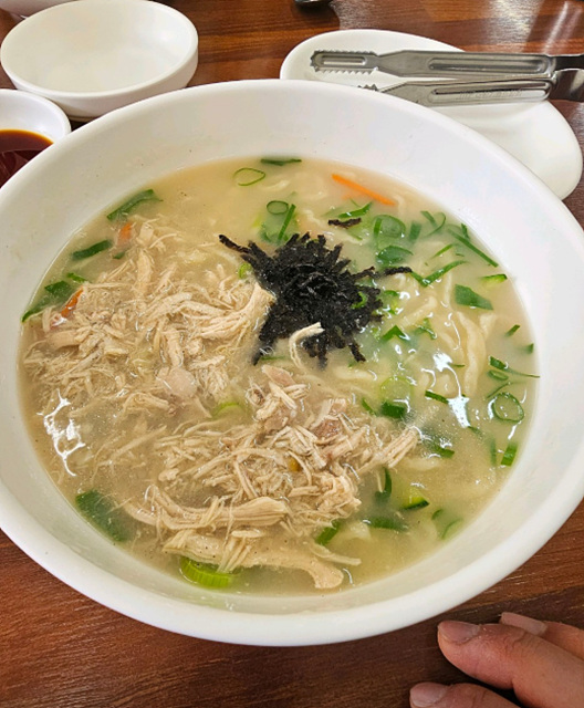 제주 전농로 근처 맛집 추천 벚꽃여행 소도리왕뼈다귀 제주냉삼시대 모던그릴 옛날홍가네칼국수 원영식당 킷사핫피엔도 호성식당 북경반점 모렐로제주 명동찌개마을