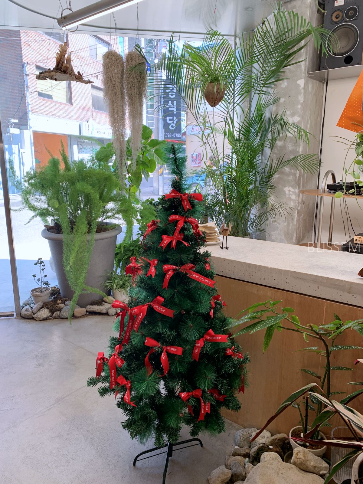 삼각지-카페-파이샵-파이가게-디저트맛집-파이인더샵-식물원-식물