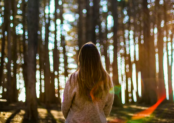 숲속에서 햇살을 바라보며 조용히 서 있는 여성의 뒷모습. 빛이 스며드는 나무들 사이로 따뜻한 분위기가 느껴지는 장면.
