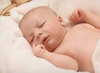 임신 사전 건강관리 지원사업