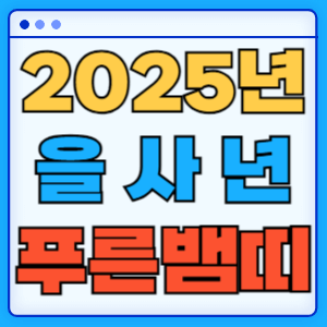 2025년 을사년 푸른 뱀의 해 운세 삼재