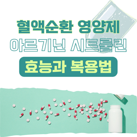 썸네일 이미지 입니다.