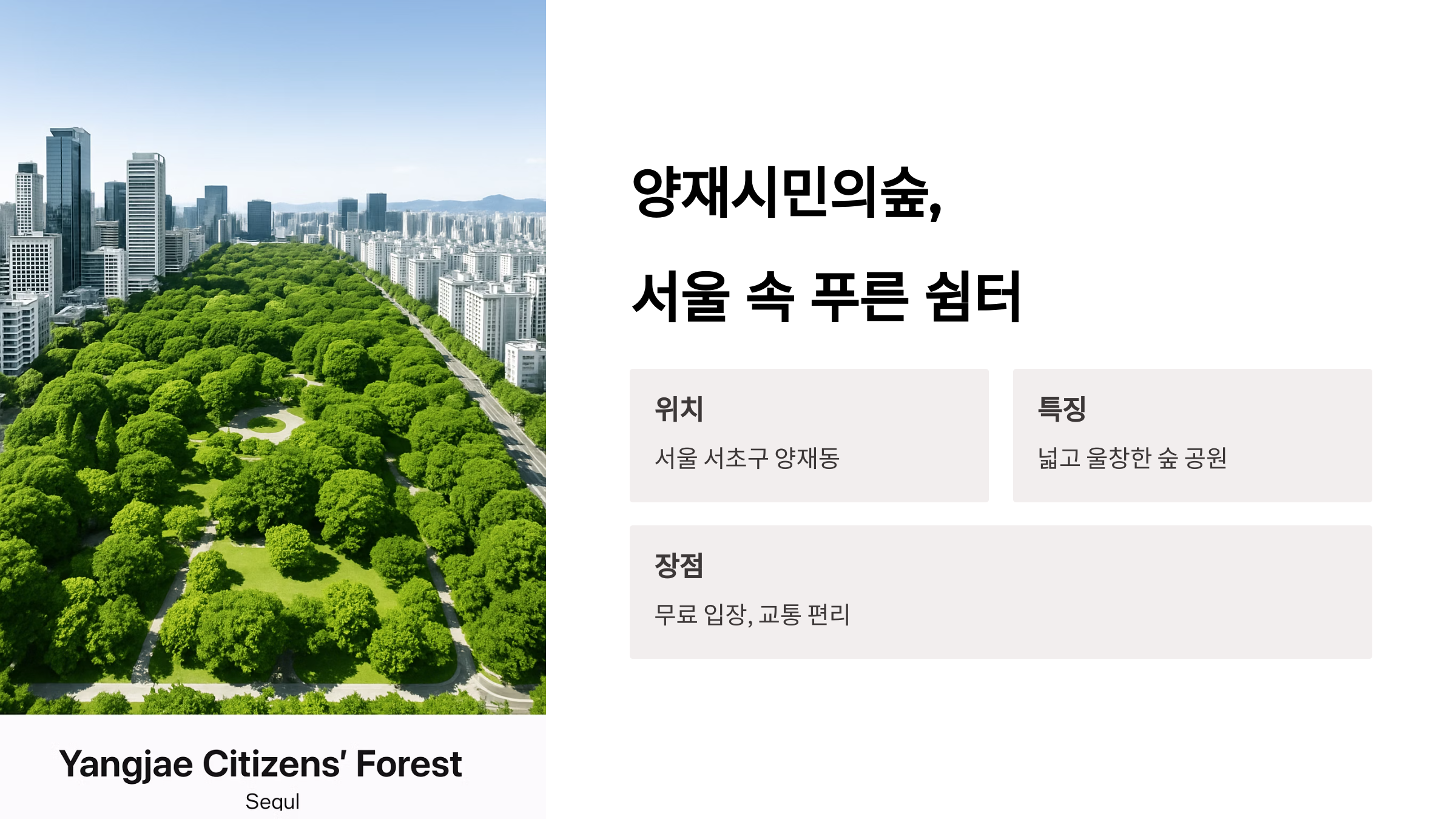 양재시민의숲-02