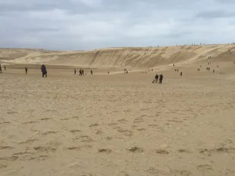 일본 돗토리 여행코스 3박 4일 일정 및 필수 관광지 추천_17