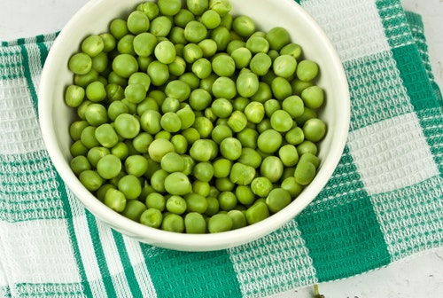 콩 단백질 영양소