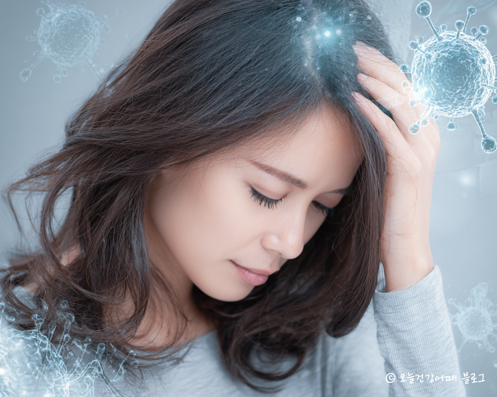 머리카락 성장, 모낭 세포, 영양 결핍, 탈모 원인, 모낭 건강, 영양소 흡수 부족