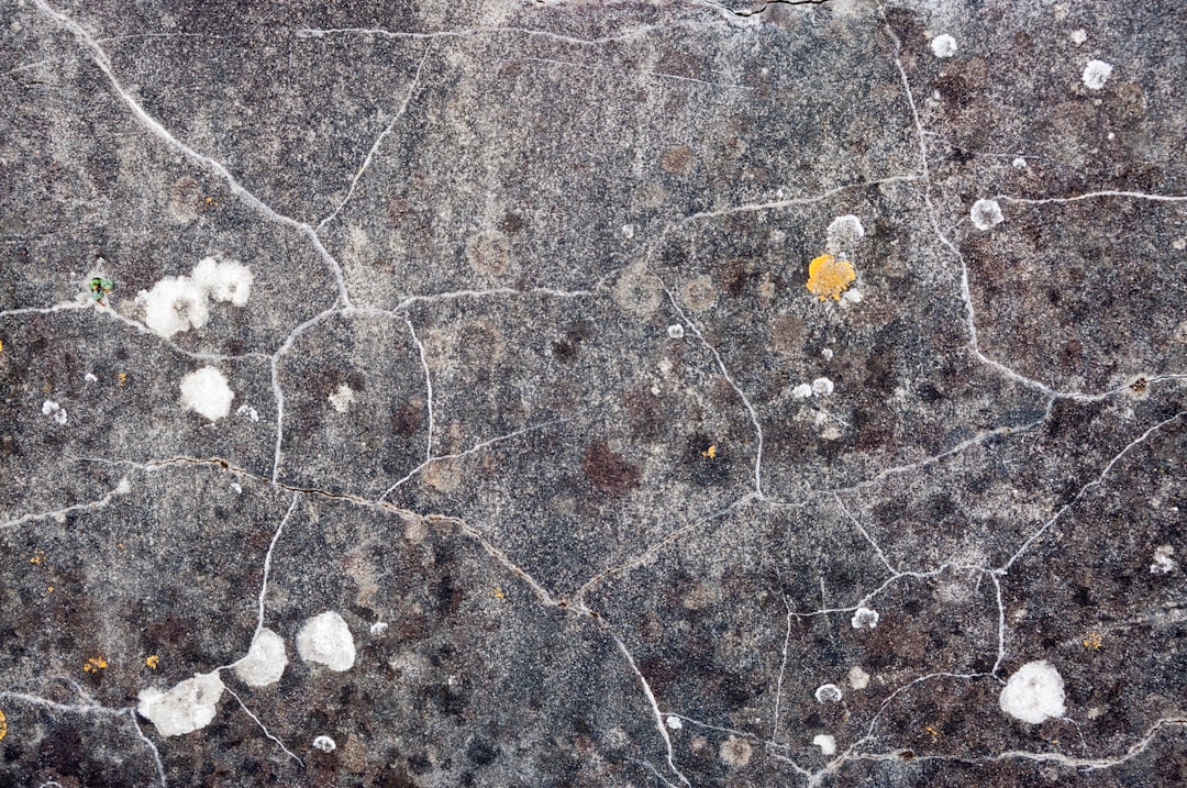 Mold