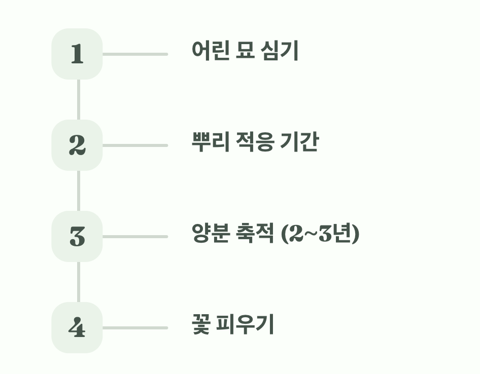 원인 다섯: 너무 어린 묘, 기다림이 필요해
