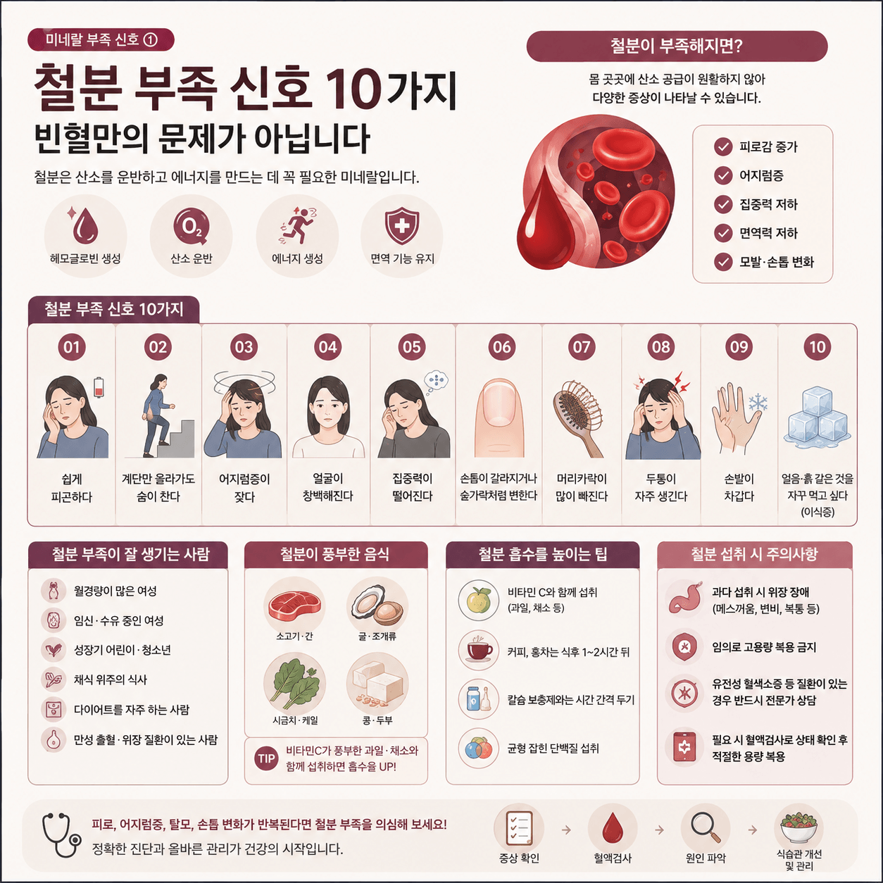 철분 부족으로 나타나는 대표 증상과 철분이 풍부한 음식, 관리 방법을 한눈에 정리한 건강 정보 인포그래픽