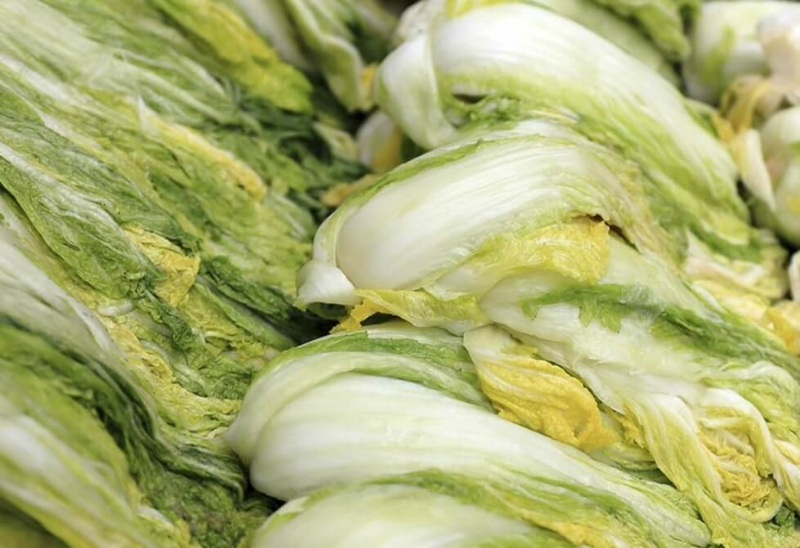 물기를-빼고있는-배추들