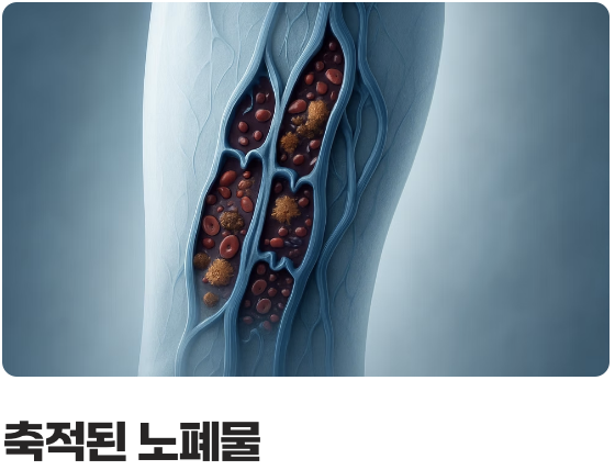 밤이 되면 더 심해지는 이유