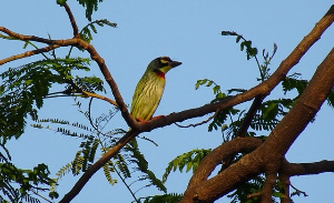 소상공인 재기 지원금｜희망리턴패키지로 최대 2천만 원 받는 법
