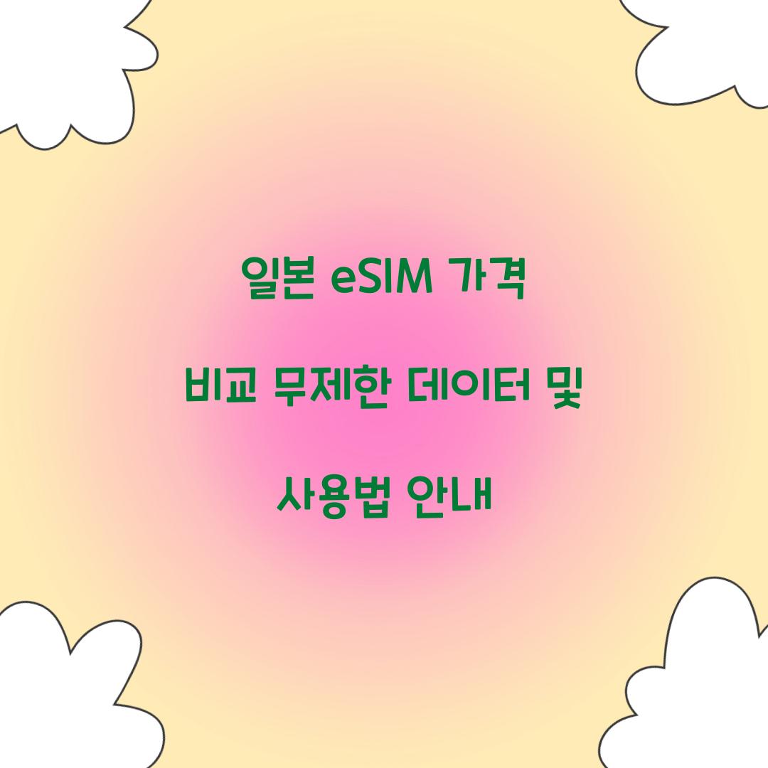 일본 ESIM 가격