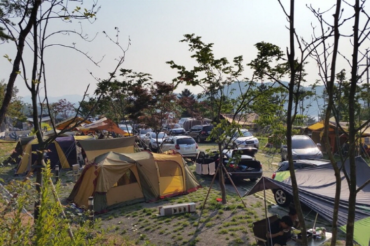 예산 국민여가캠핑장