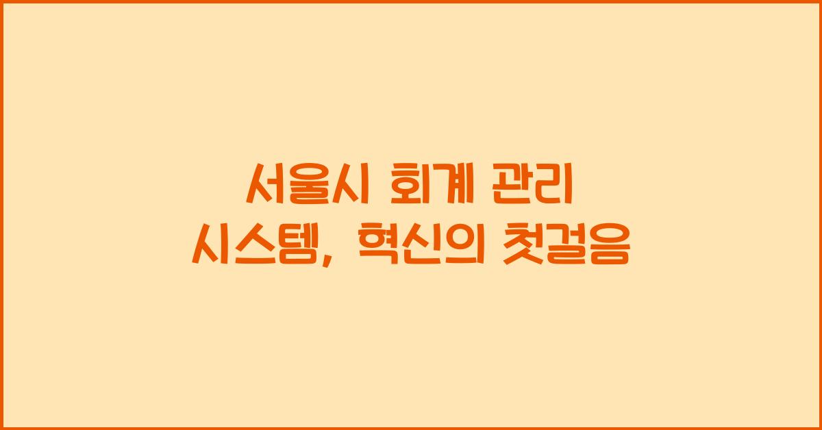 서울시 회계 관리 시스템