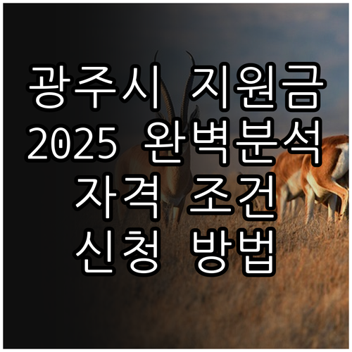 광주시 평생학습지원금 2025 완벽 ..