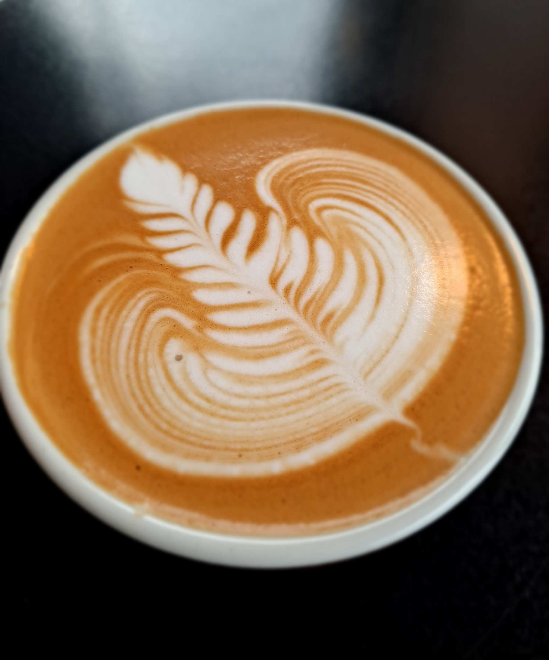 마지막이 아쉬웠던 로제타