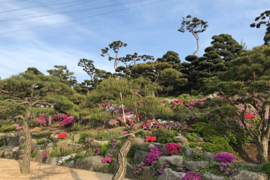 특색있고 아름다운 민간 정원 30선 추천 여행 - 07. 청주 공간정원