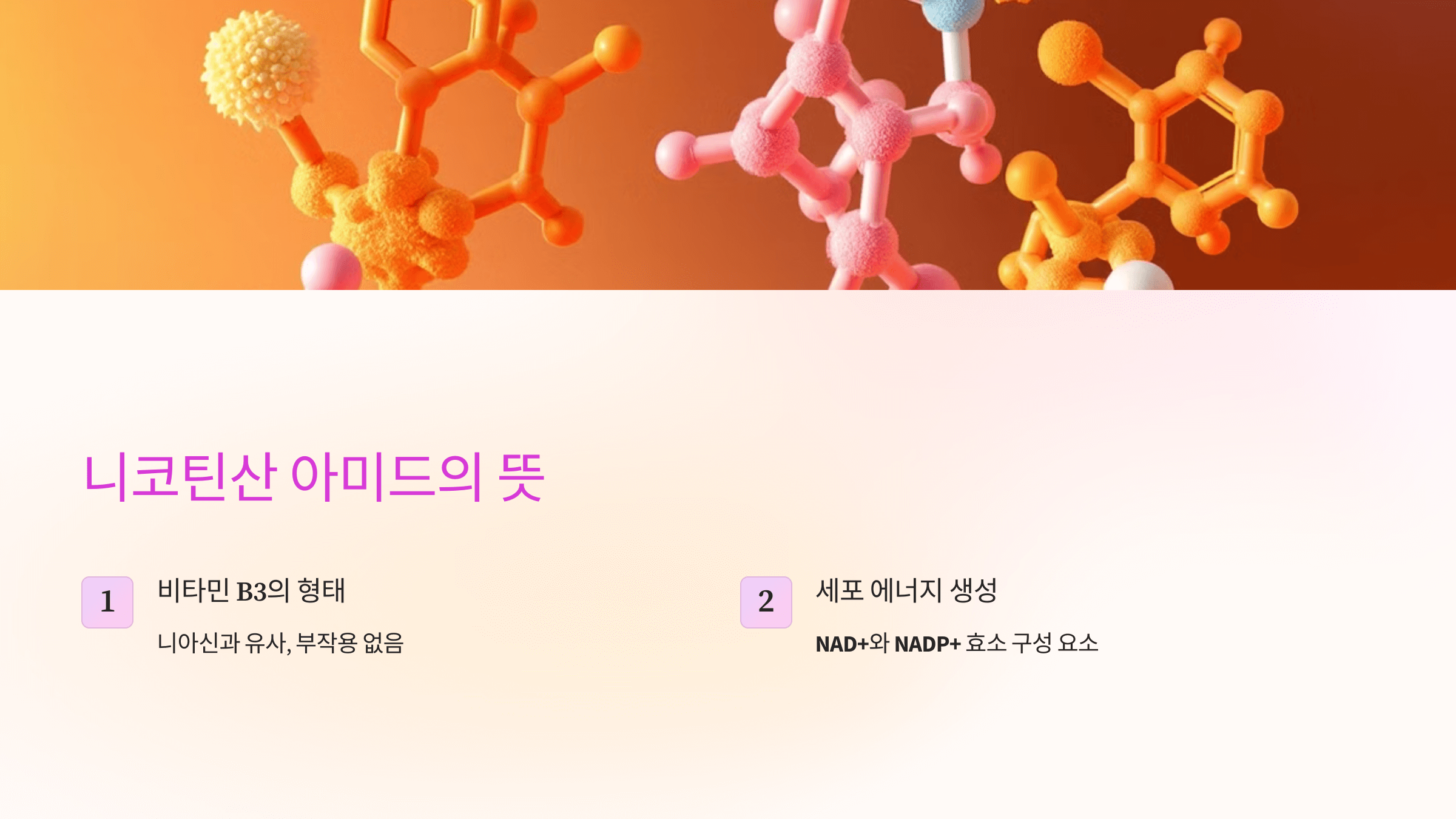 니코틴산 아미드와 관련된 사진입니다.