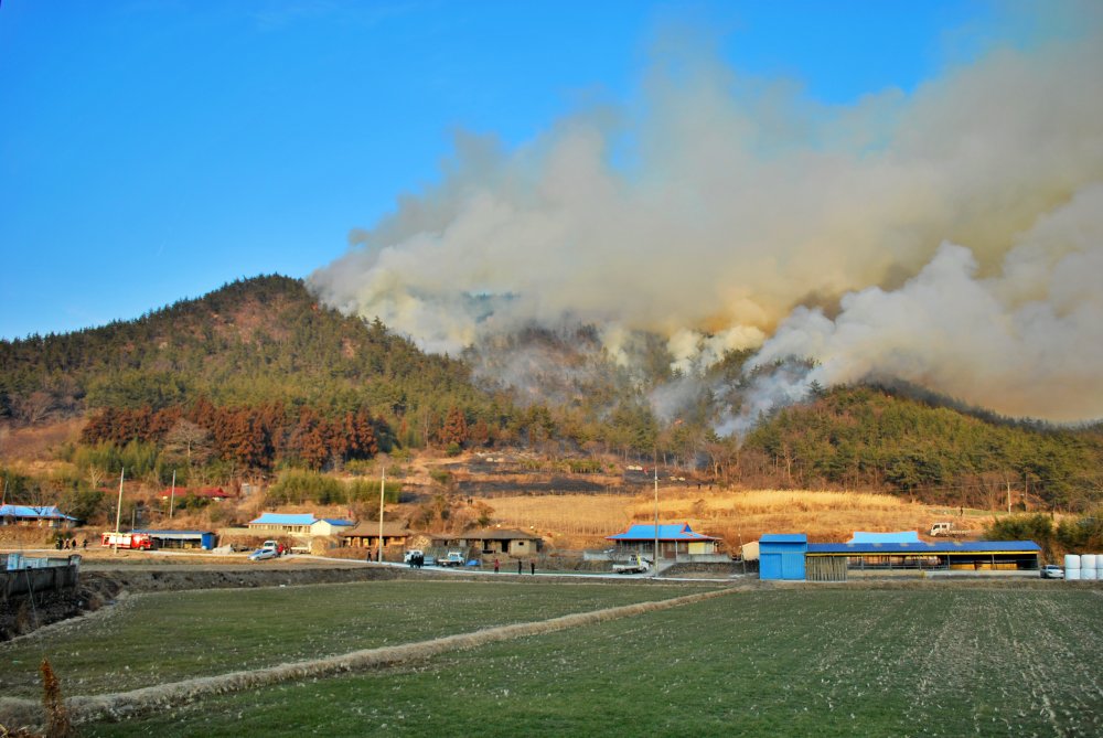 내저마을 산불