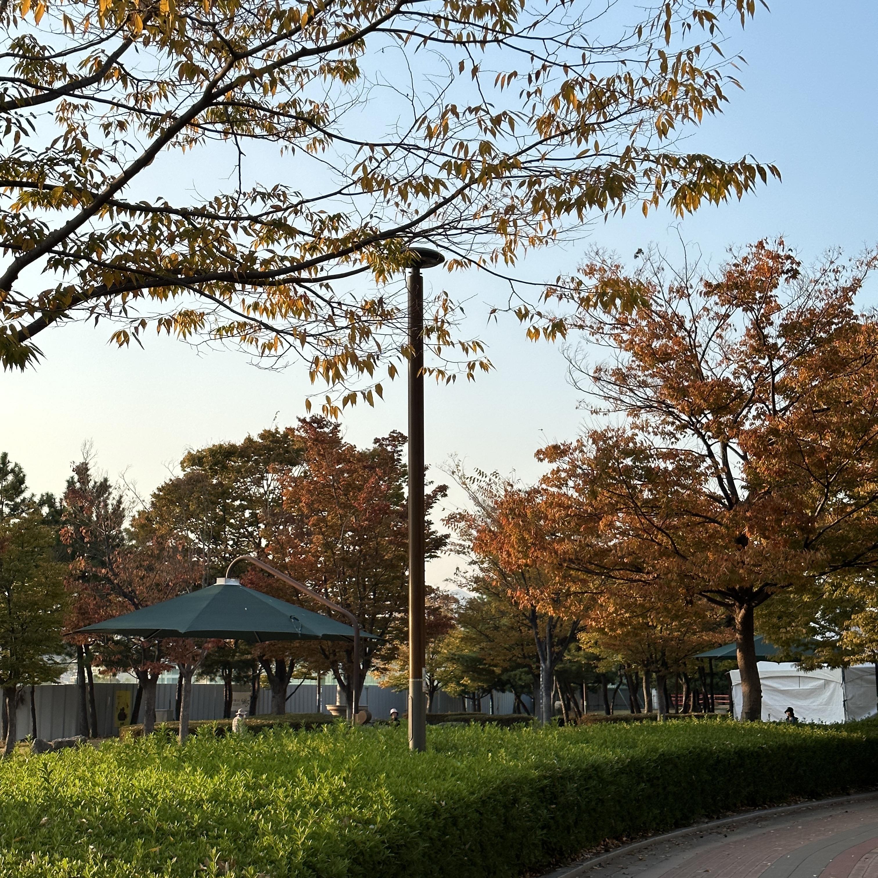 APEC나루공원_단풍