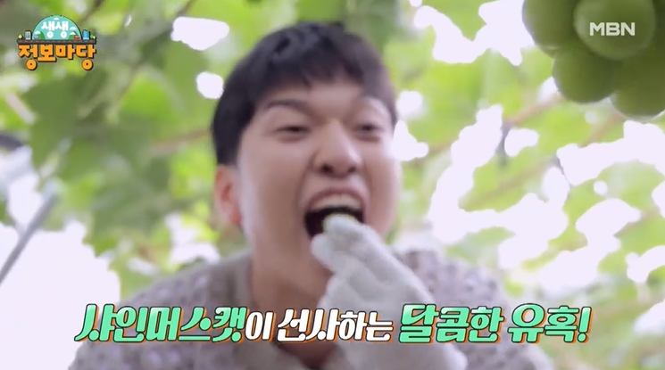생활의 기술 달콤한 유혹 샤인머스캣 엄청 달달한 청포도 경북 김천 명물 추천