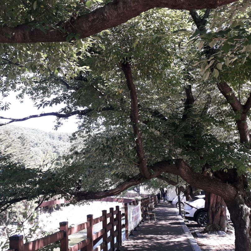 구천동계곡