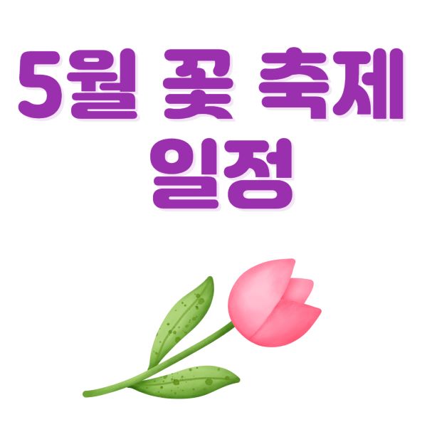 5월 꽃 축제 일정
