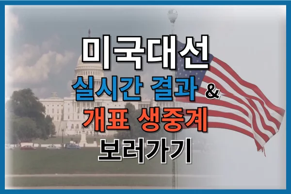 2024 미국 대선 실시간 투표 결과 확인하기