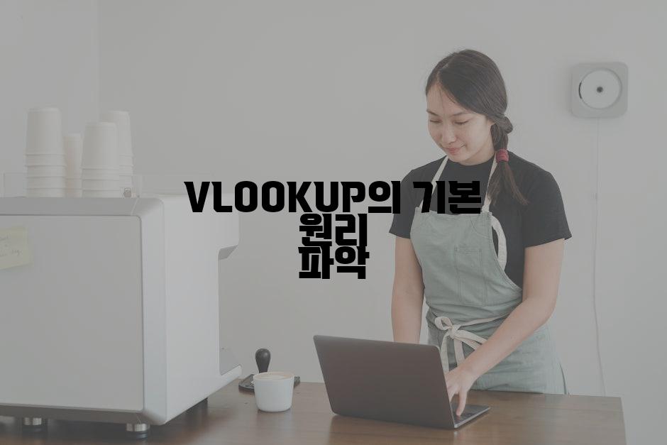 VLOOKUP의 기본 원리 파악