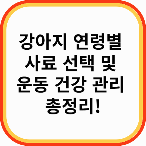 강아지 연령별 사료 선택 및 운동 건강 관리 총정리!