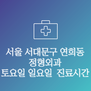 서울 서대문구 연희동 주말 토요일 일요일 문여는 병원 진료시간