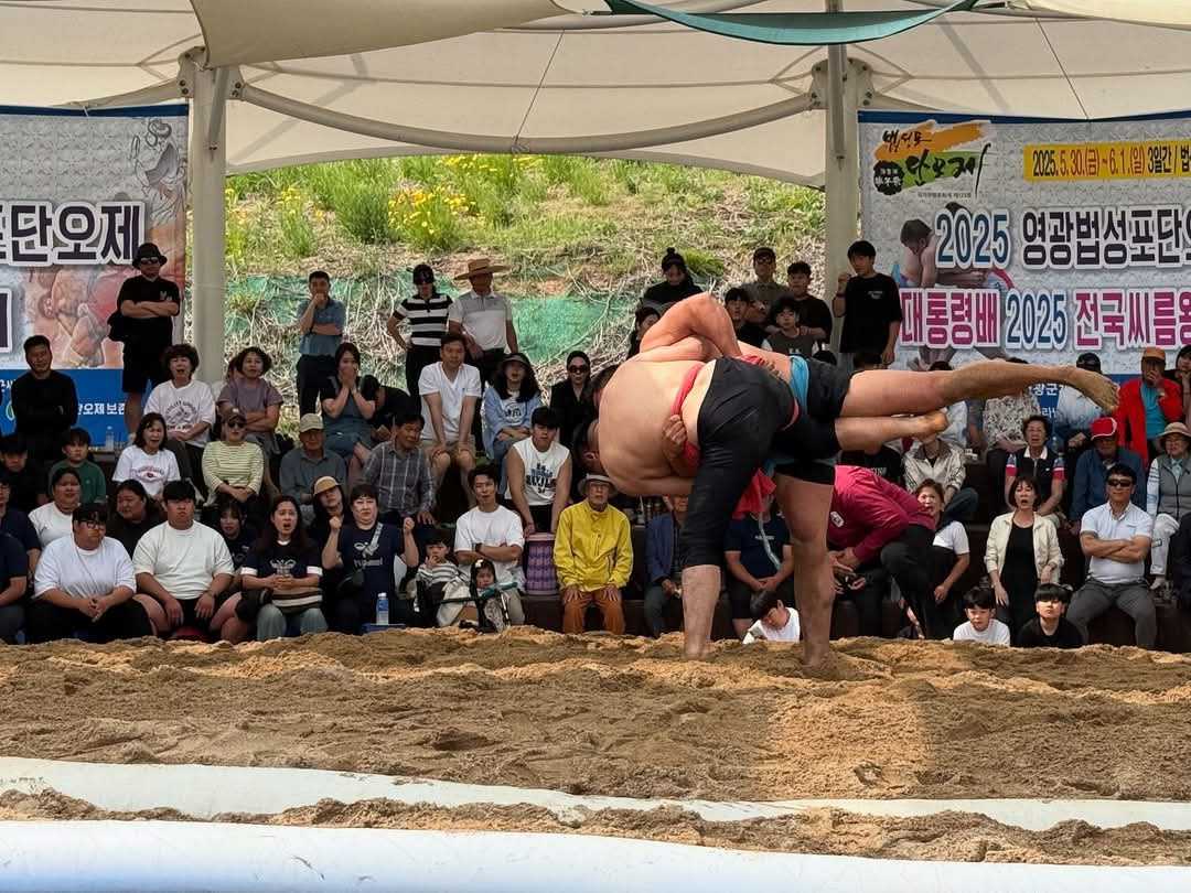 영광 법성포 단오제 500년 역사 빛낸 씨름 한판, 관중 매료시킨 감동의 순간들