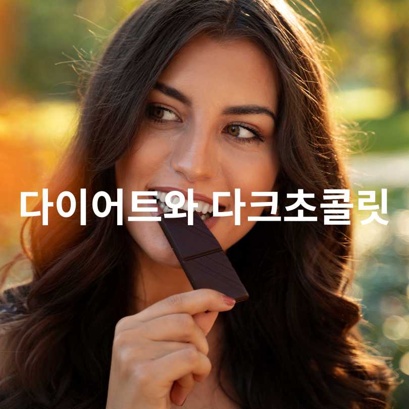 다크초콜릿 효능