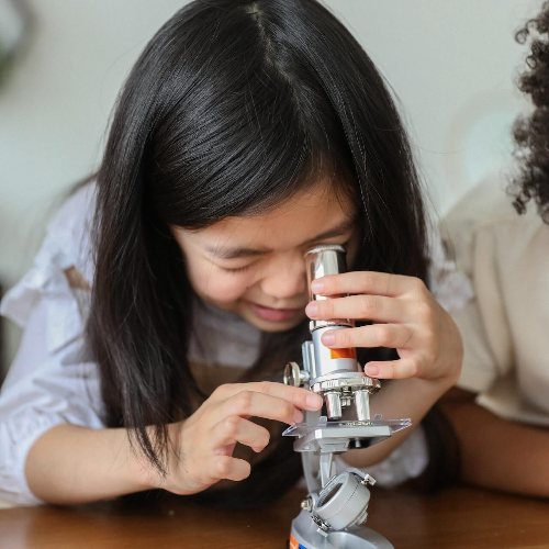 자녀장려금 신청 방법과 신청기간 신청하기