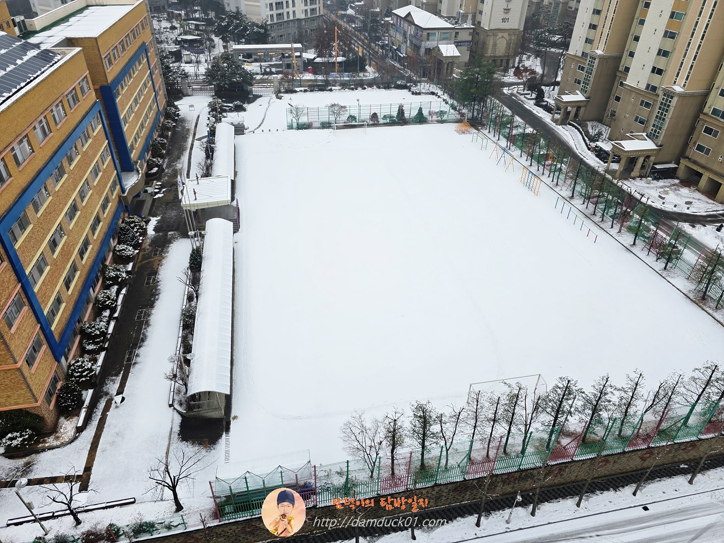 2025년 첫 눈 (2025년 1월 5일)