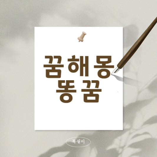 꿈해몽-똥꿈