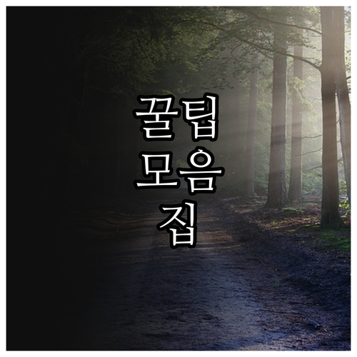 출근길 필수 2025 인천 도시철도 ..