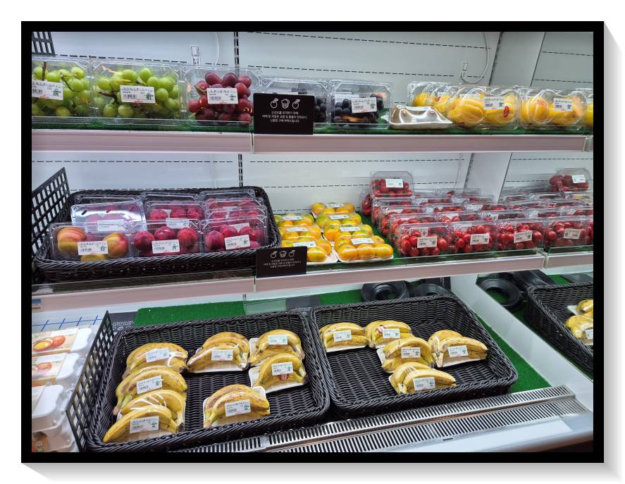 진도-쏠비치-과일