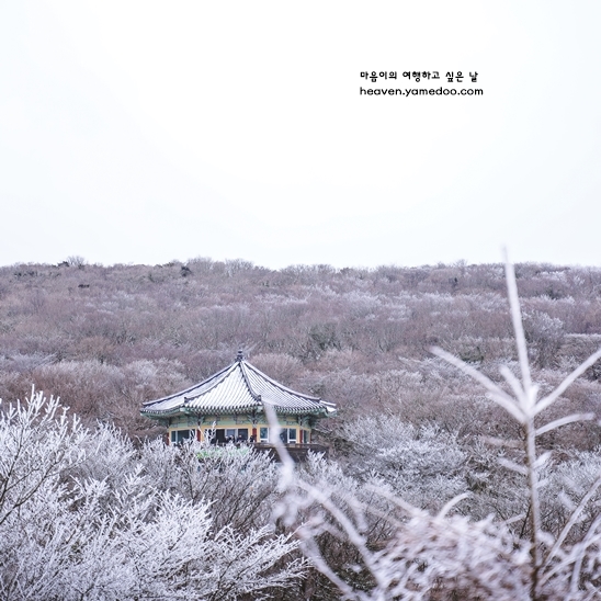 1월 제주도 여행코스 2박3일