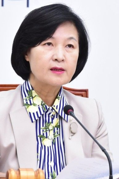 추미애 경기도지사 취임 프로필 나이 학력 고향 남편 아들 공약 관련주 완벽 총정리
