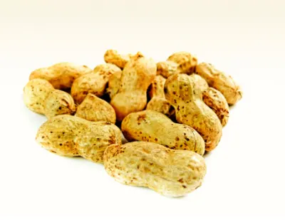 가을 제철 음식 땅콩 효능과 영양성분, 주의점