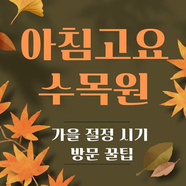 아침고요수목원 단풍, 아침고요수목원 가을, 경기도 단풍 명소, 가평 단풍 여행, 가평 가을 여행, 수도권 단풍 여행, 가을 나들이 추천, 가을 단풍 축제, 단풍 절정 시기, 가을 여행지 추천