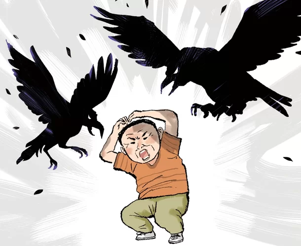사람을 공격하는 까마귀