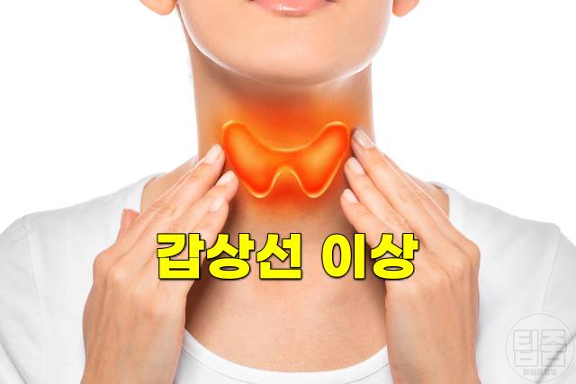 피부당김 얼굴당김 피부건조 가려움 원인 갑상선